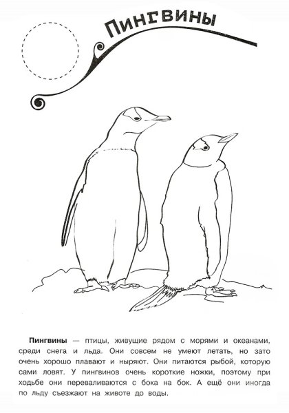 Животные из крсной книи раскраска