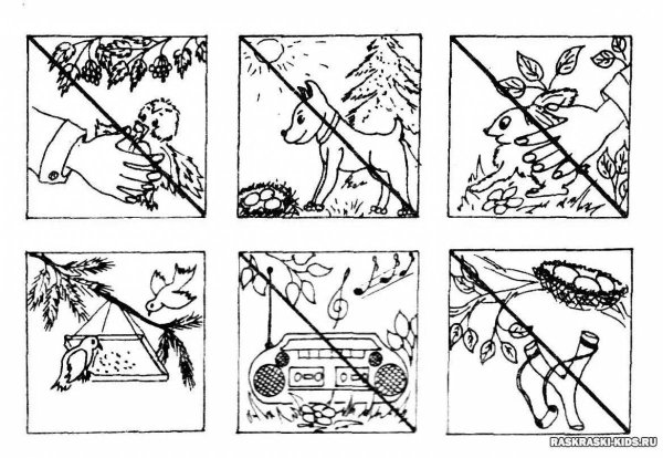 Раскраска защита природы для детей