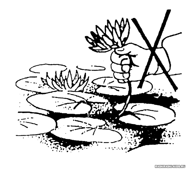 Раскраска по охране природы для детей