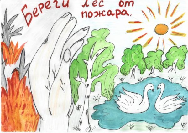 Берегите лес от пожара рисунки