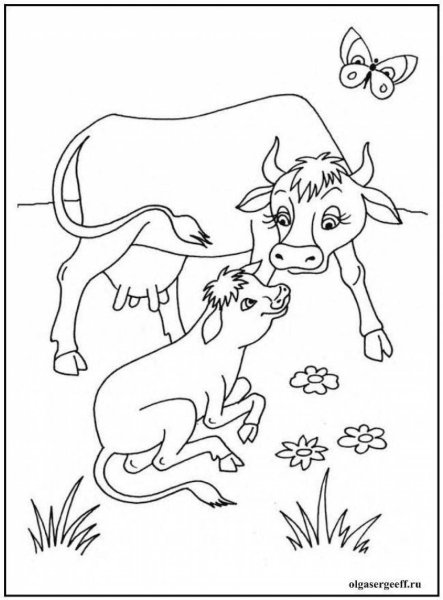 Животные и их дети раскраска