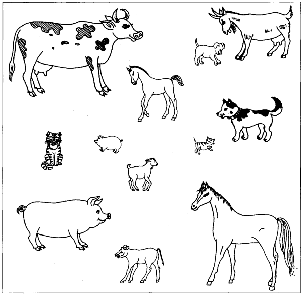 Логопедические задания по теме домашние животные и их Детёныши