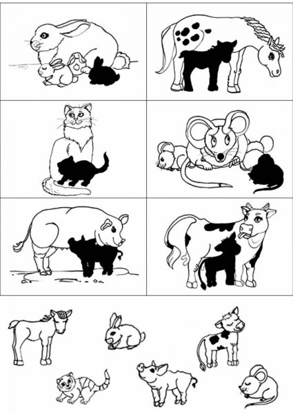 Домашние животные задания