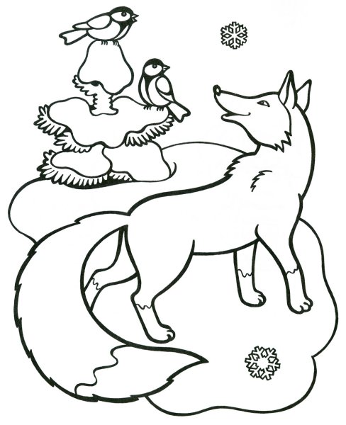 Раскраска звери зимой