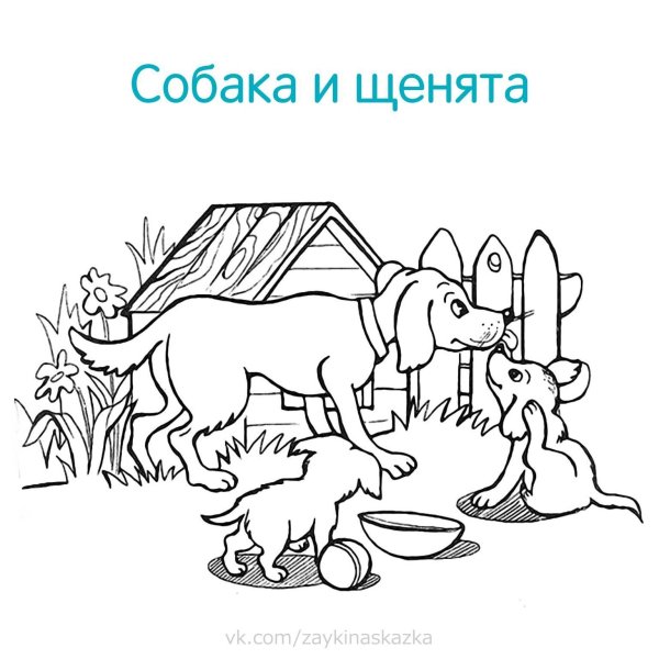 Домашние животные и их Детеныши раскраска
