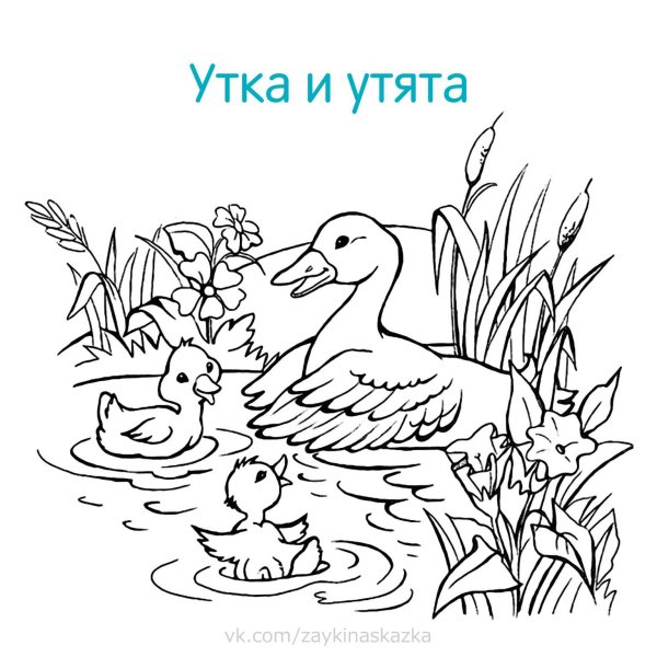 Раскраска мама и малыш животные