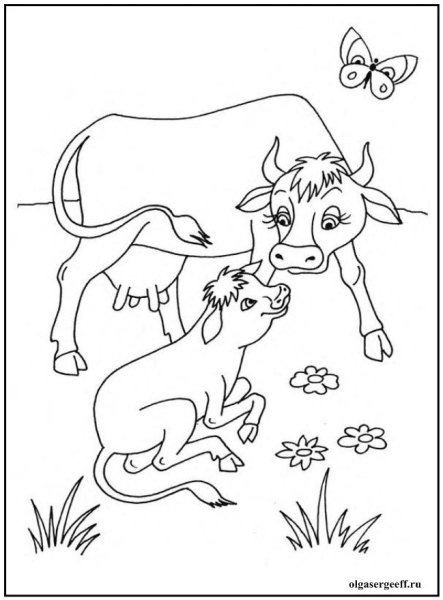 Животные и их дети раскраска