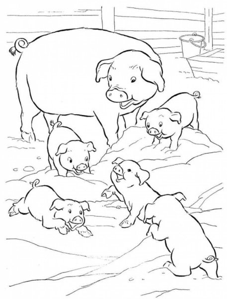 Поросенок раскраска