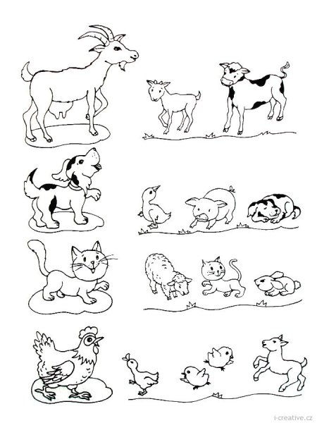 Задания на тему домашние животные