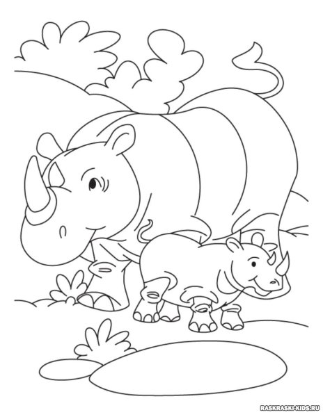 Раскраска малышам животные