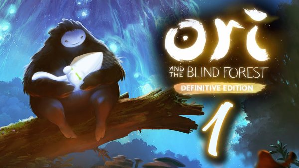 Ори энд зе Блинд Форест 2