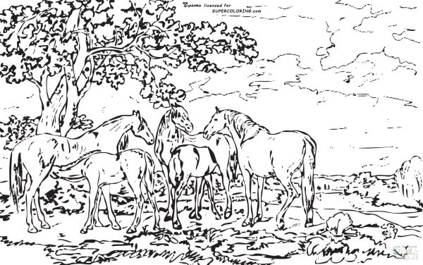 Раскраска пейзаж