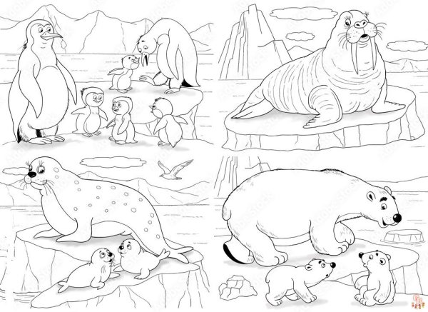 Животные Арктики раскраски для детей