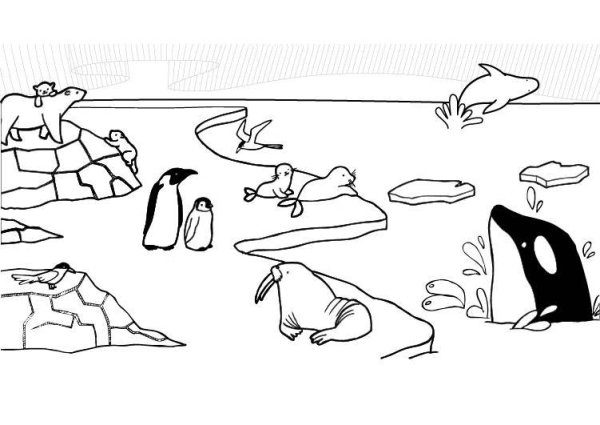 Антарктида раскраска для детей