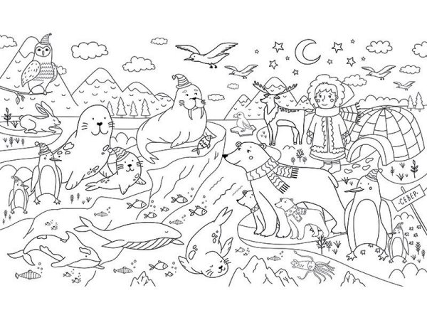 Раскраска животные севера