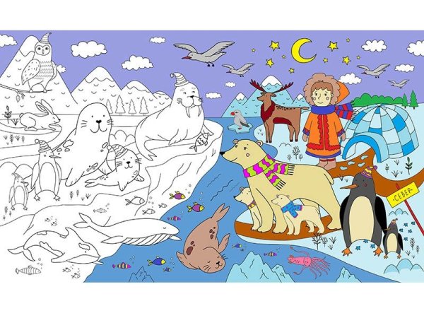 Раскраска животные севера