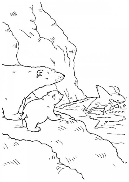 Раскраски Северный полюс для детей