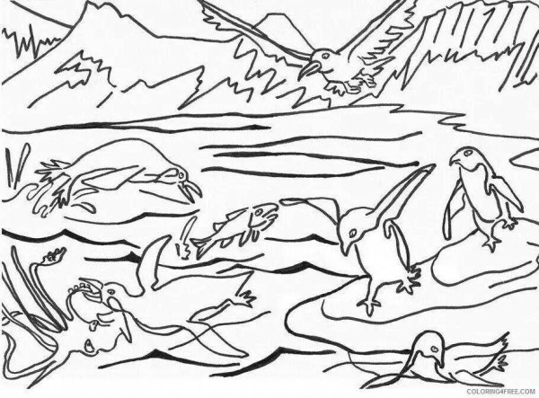 Антарктида раскраска для детей