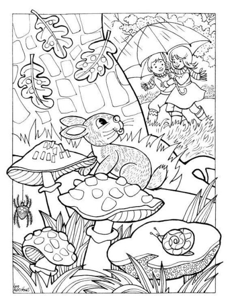 Грибы в лесу раскраска для детей