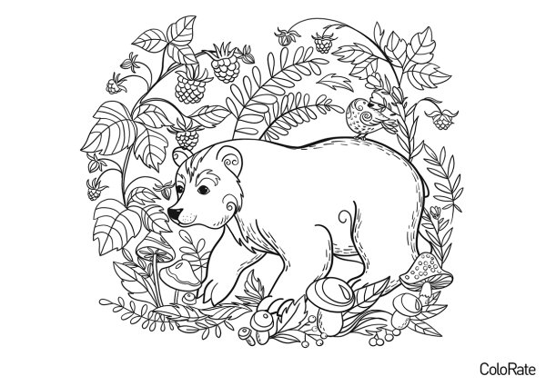 Животные в лесу. Раскраска