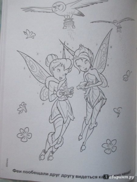Раскраска феи тайна зимнего леса