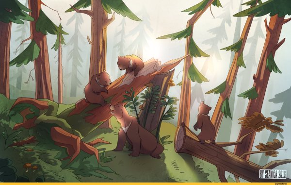 Шишкин мишки в Сосновом Бору зарисовки