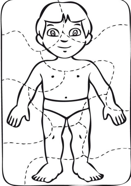 Тело человека для дошкольников