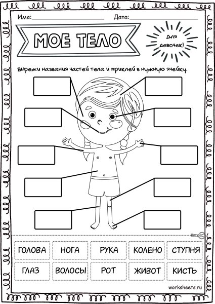 Части тела задания