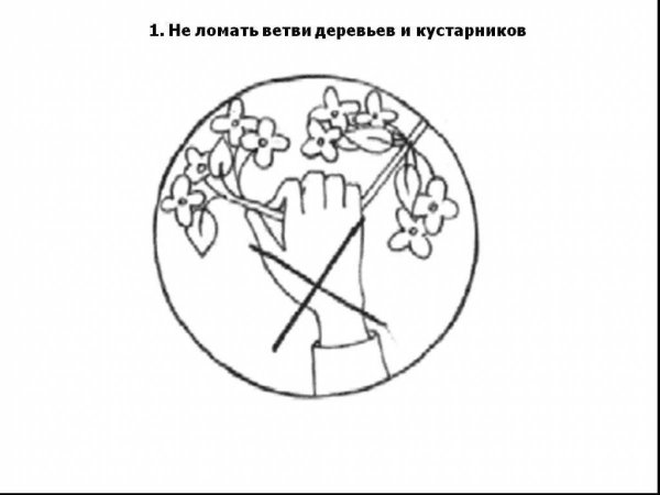 Экологические знаки для детей раскраски