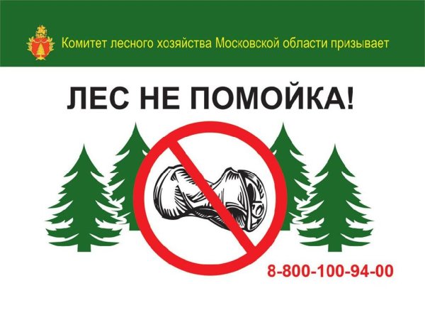 Убирайте мусор в лесу