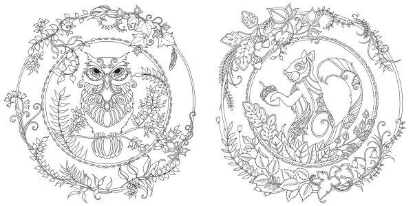 Джоанна Бэсфорд таинственный лес