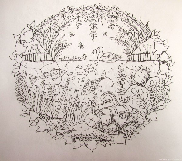 Джоанна Бэсфорд таинственный лес