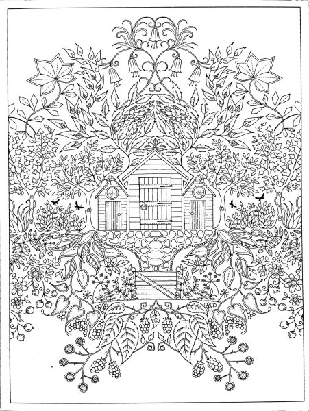 Джоанна Бэсфорд таинственный сад чёрно белая