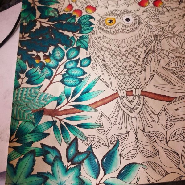 Джоанна Бэсфорд таинственный сад