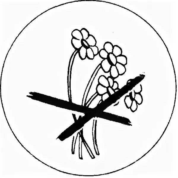 Природоохранные знаки для детей раскраски