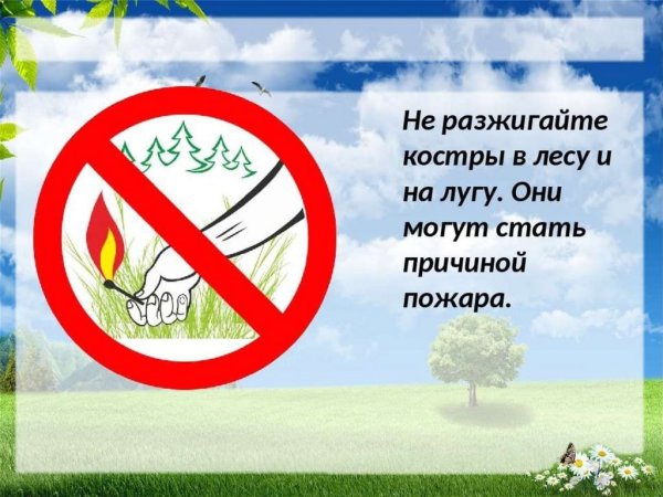 Не разводить огонь в лесу
