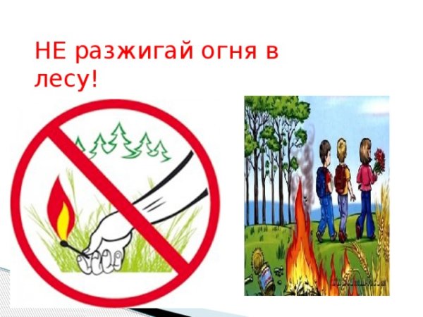 Не разжигай огонь в лесу