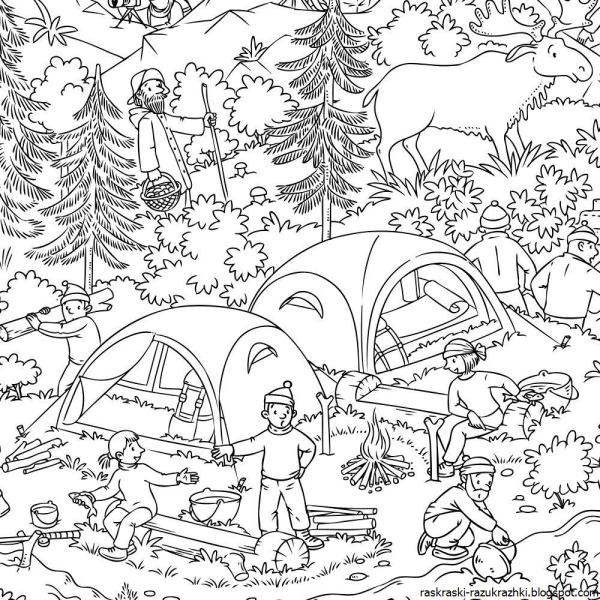 В лесу. Раскраска