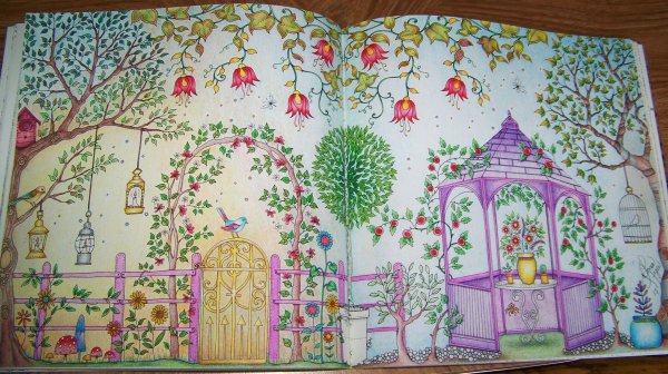 Джоанна Басфорд Зачарованный лес