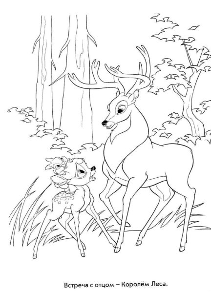 Раскраска Олененок