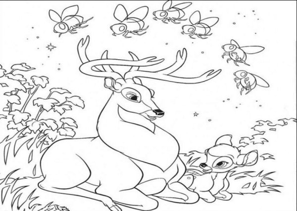 Раскраски природа и животные