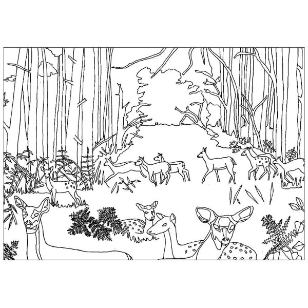Раскраска Лесные животные