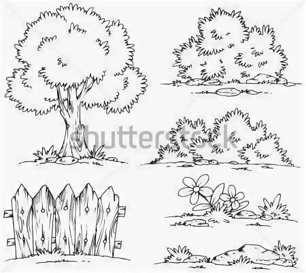 Куст раскраска для детей