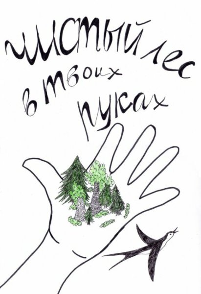 Плакат чистый лес