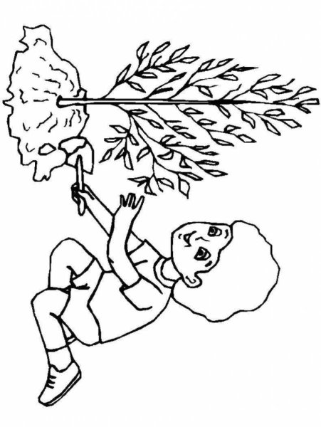 Экология раскраска