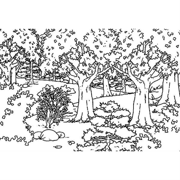 Раскраска осенний лес