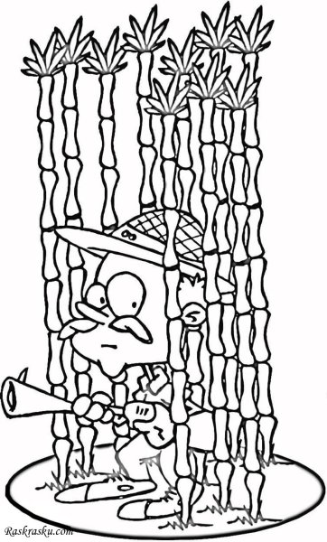 Бамбук раскраска для детей