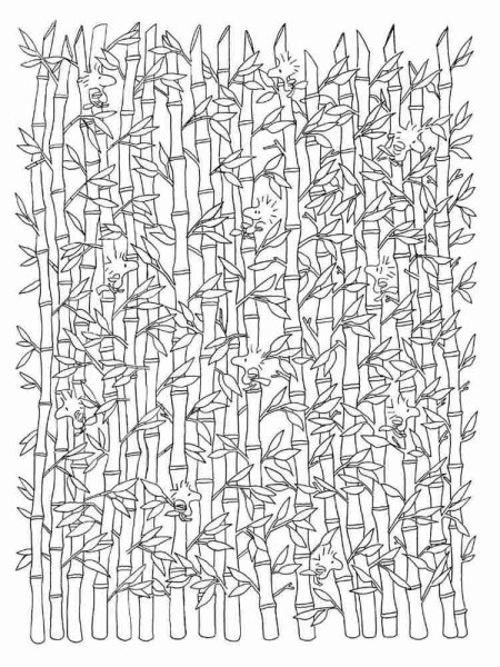 Раскраска антистресс бамбук