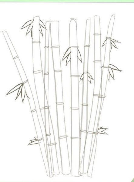 Бамбук раскраска