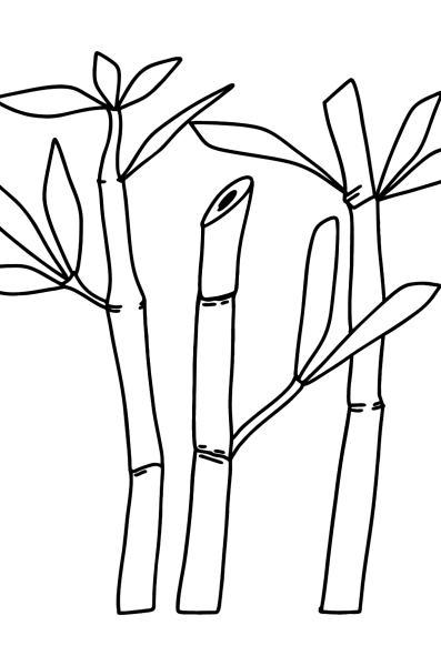 Бамбук раскраска для детей